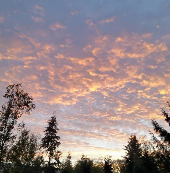 Meet your Posher, Jo - Picture 1 of 1